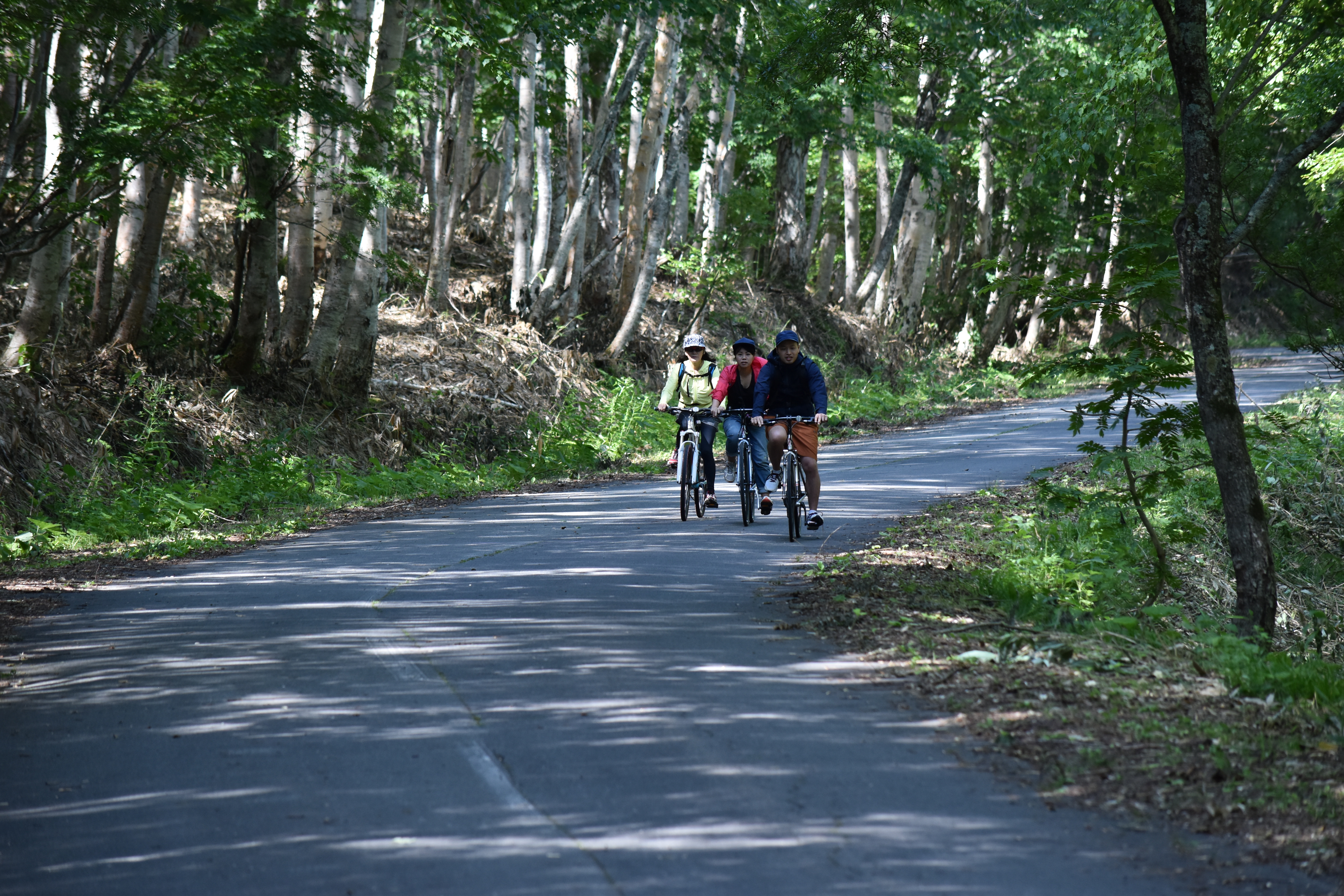 自転車NW