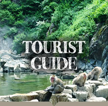 TOURIST GUIDE