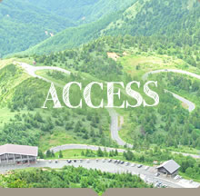 ACCESS