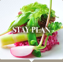 STAY PLAN