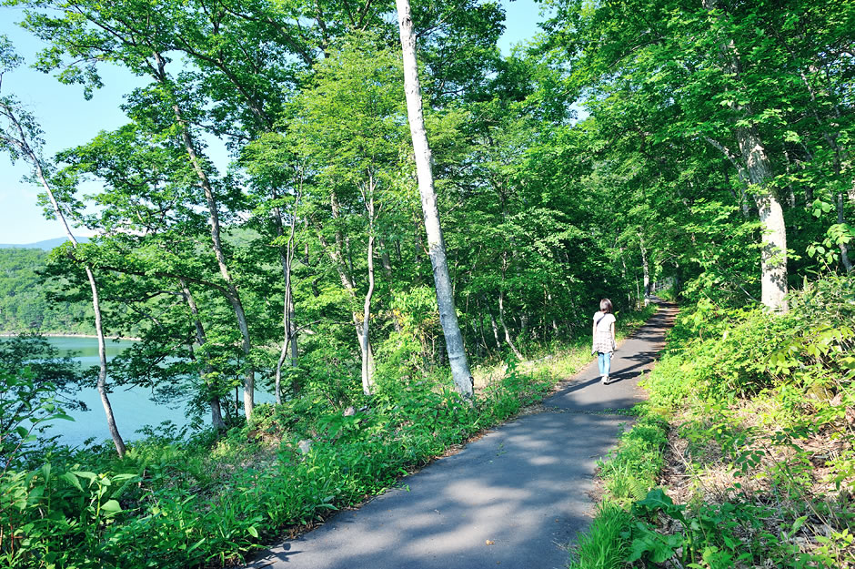 琵琶池周辺の遊歩道