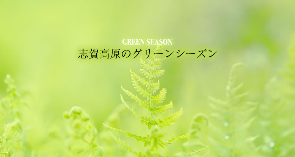 志賀高原のグリーンシーズン