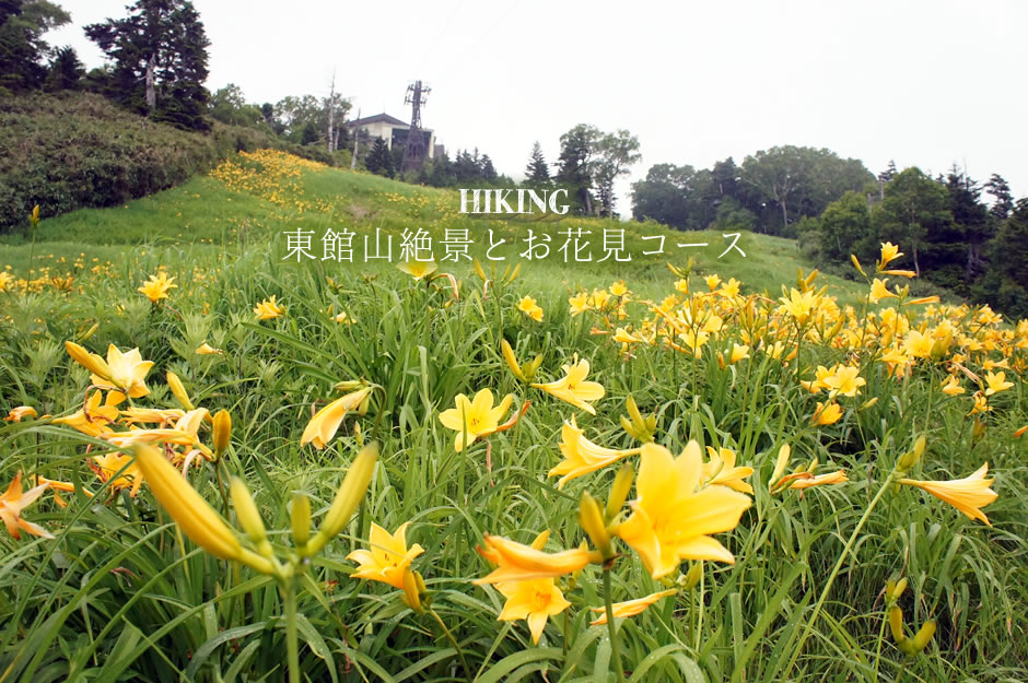 東館山絶景とお花見コース