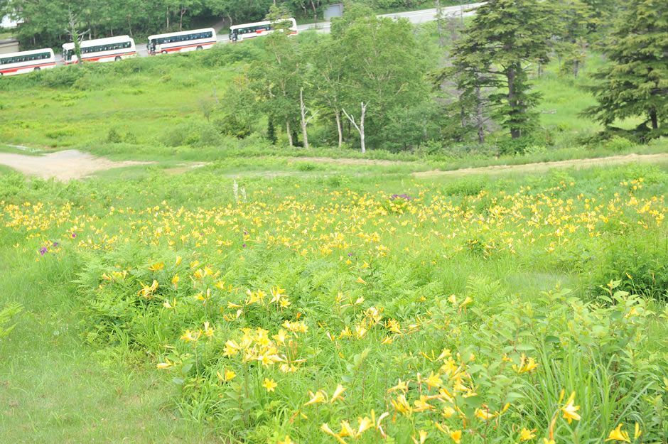 リフトからの景色