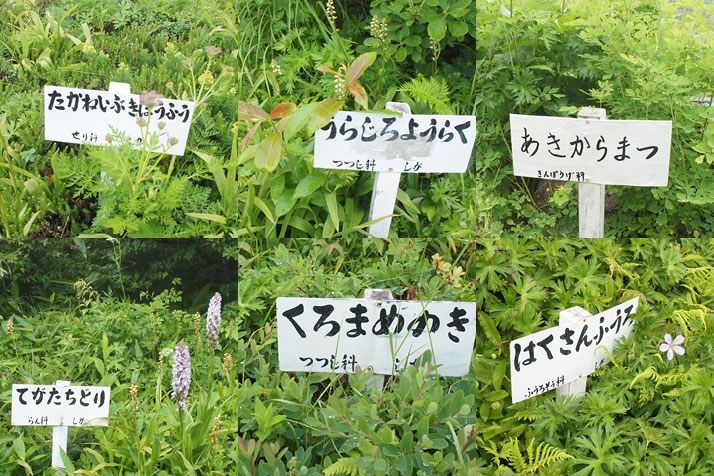 東館山高山植物園