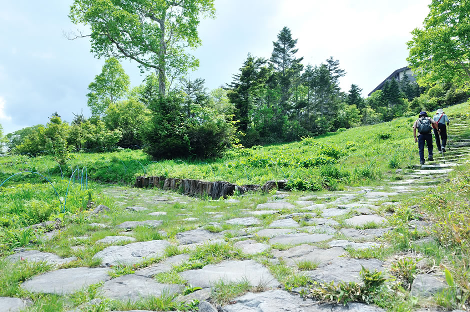 東館山山頂　周辺