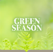 GREEN　SEASON