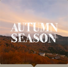 AUTUMN SEASON