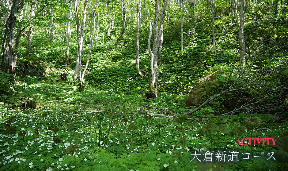 大倉新道コース