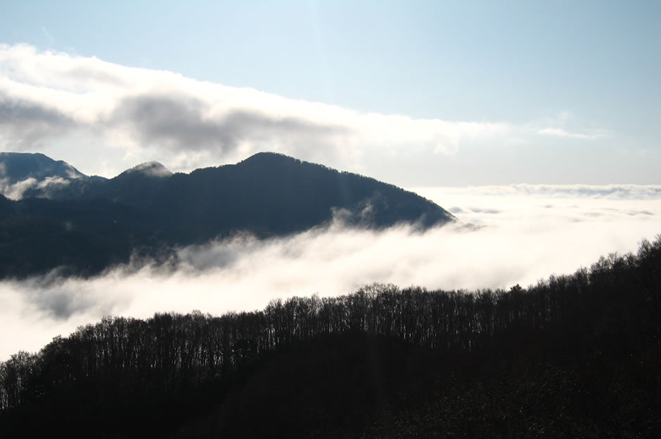 雲海