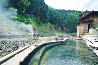 猿専用の温泉