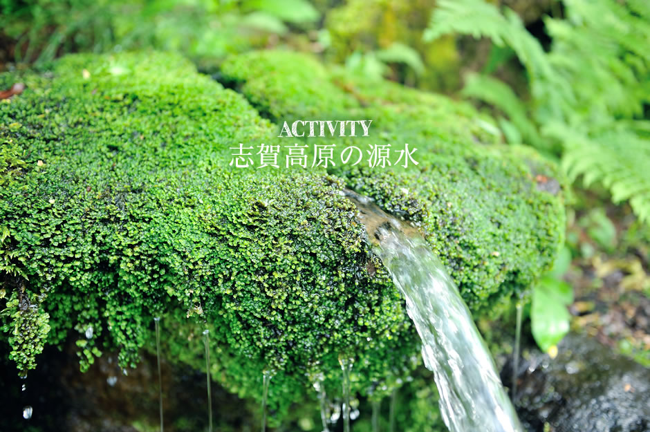 志賀高原の源水